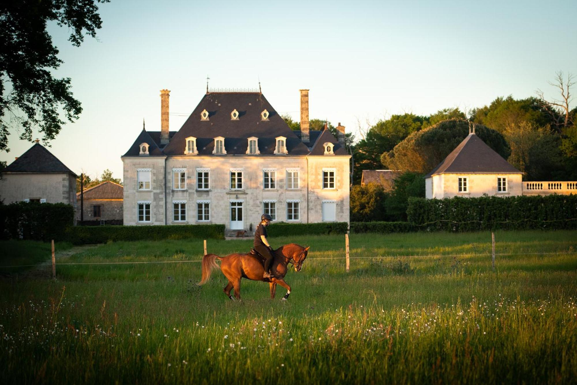 Bed and Breakfast Domaine De La Briouse à Sanxay Extérieur photo